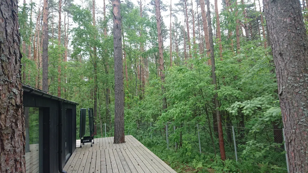 Уютный домик в сосновом бору