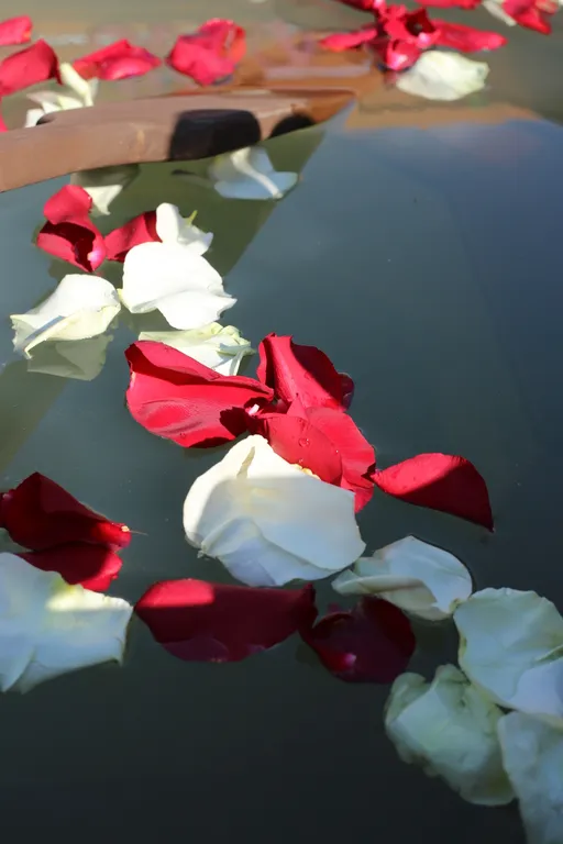 Уютный коттедж вблизи от города