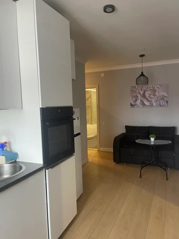 Уютная большая однокомнатная квартира евро двушка