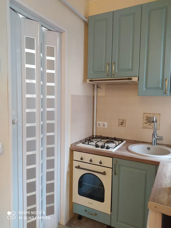 Прусский Кот  (в историческом районе Ratshof на границе с Amalienau)