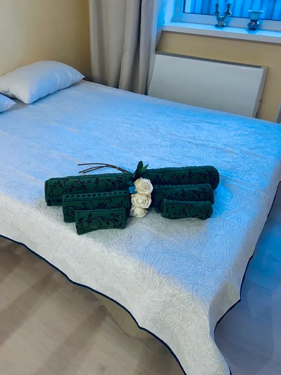 Квартира Чистая и уютная квартира возле Шереметьево — Лобня