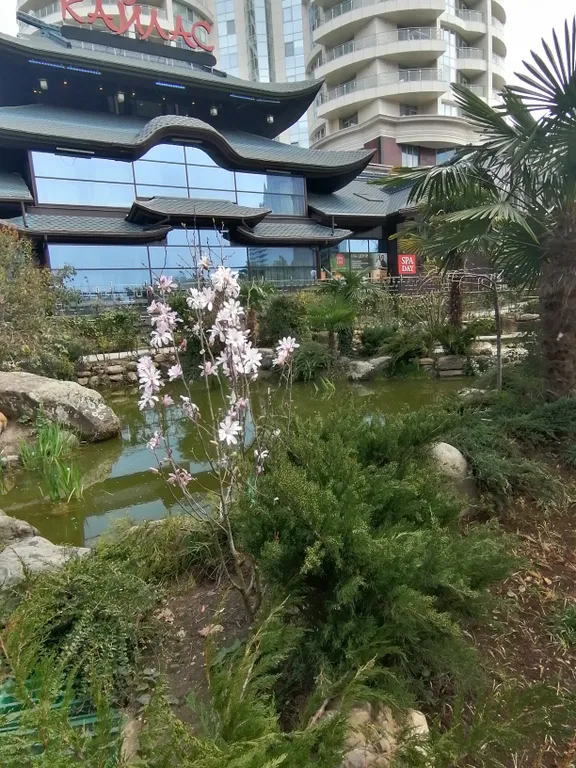 Уютная студия в центре