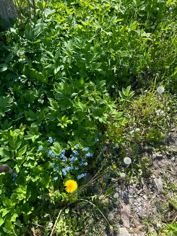 Коттедж Дом А-фрейм — Черноголовка