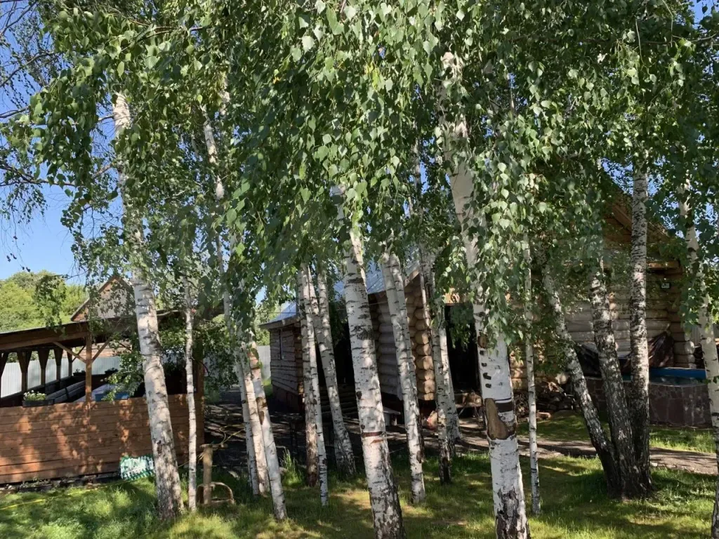 Новый рубленный дом в центре Ижевска, с баней и бассейном