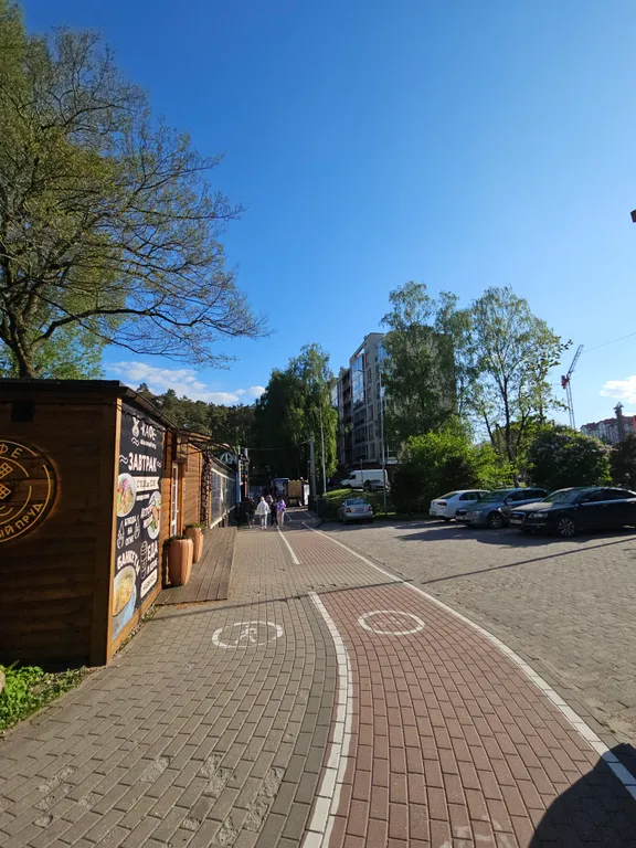 Квартира 1-комнатная Квартира — Светлогорск