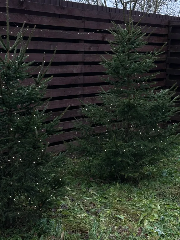 Коттедж Треугольный эко-дом с баней и чаном — Истра