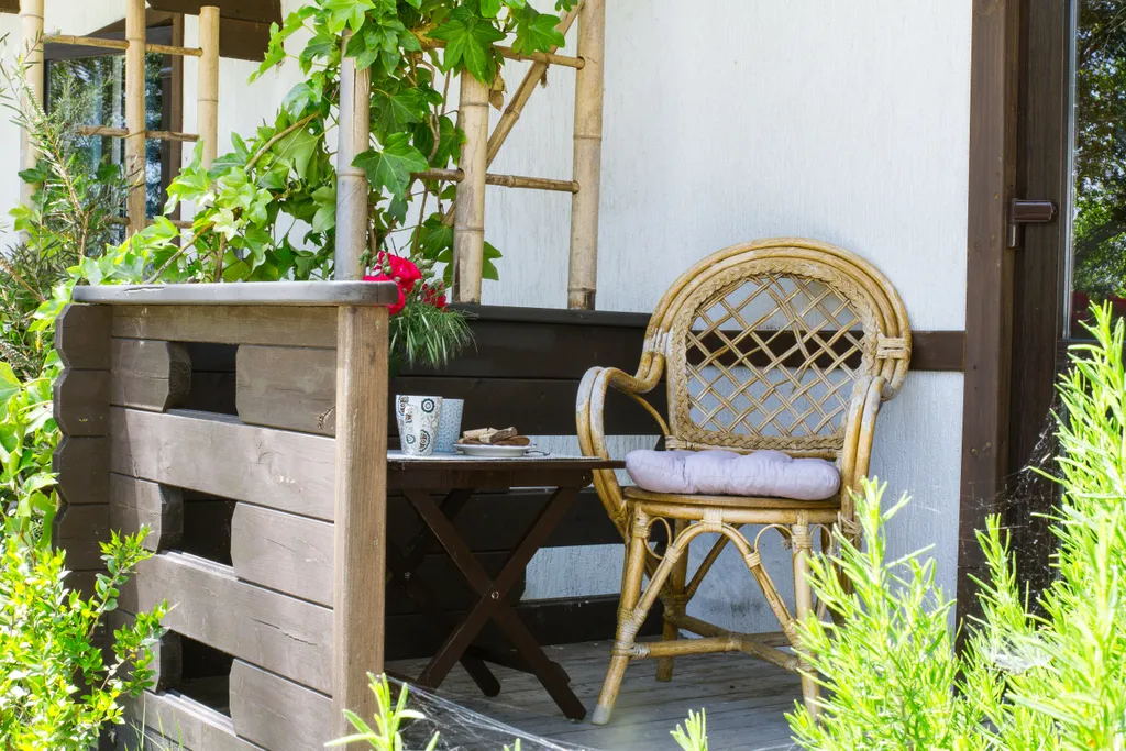 Дом в тени многолетнего дуба