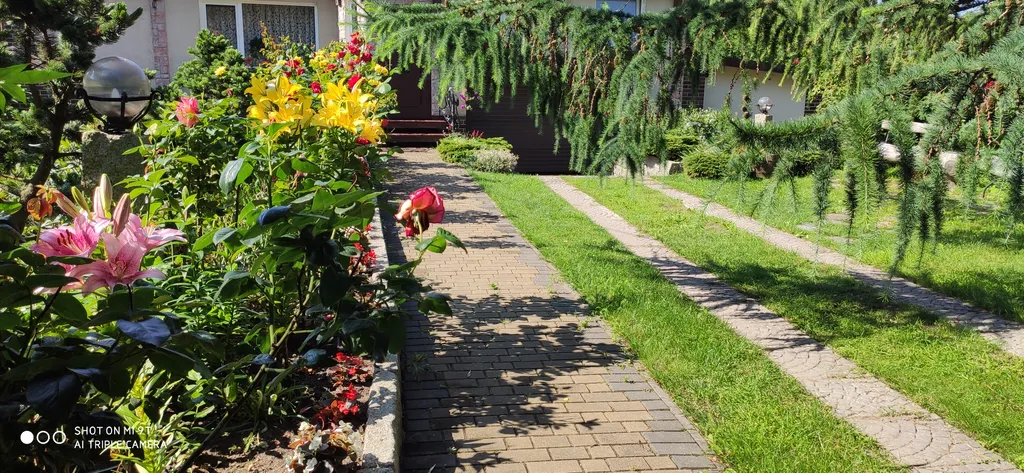 Дачная студия