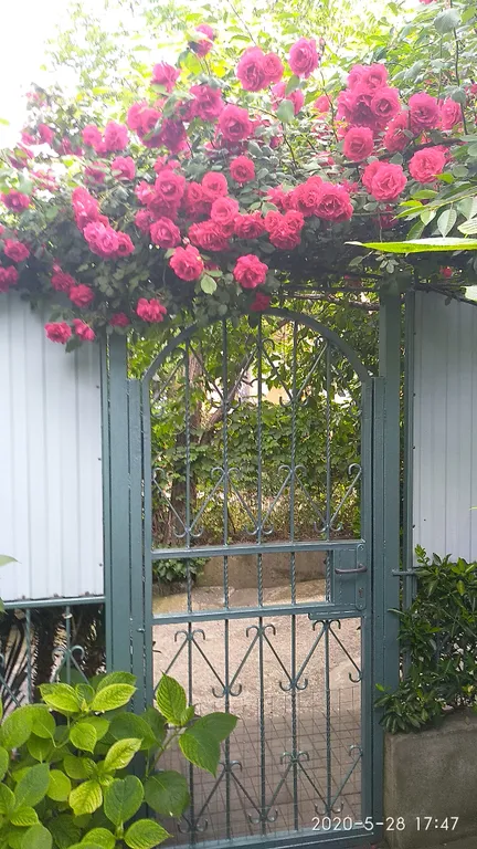 Уютный коттедж-студия