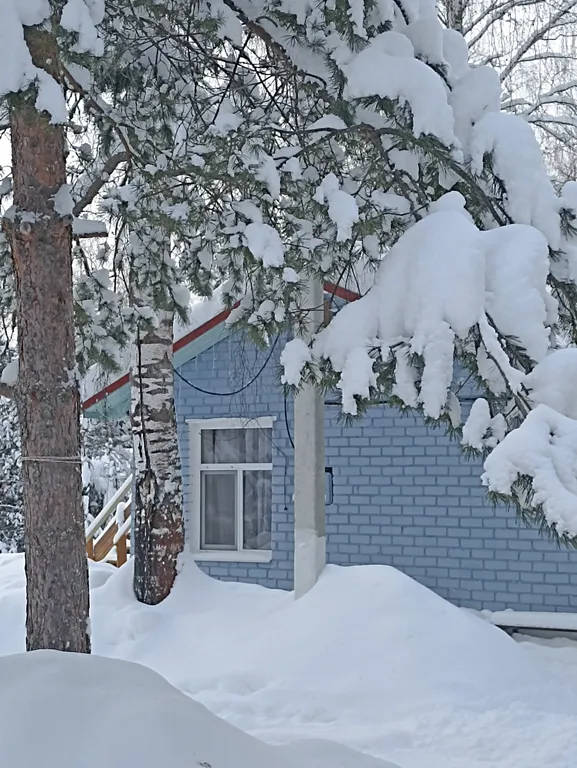 Дальний кордон