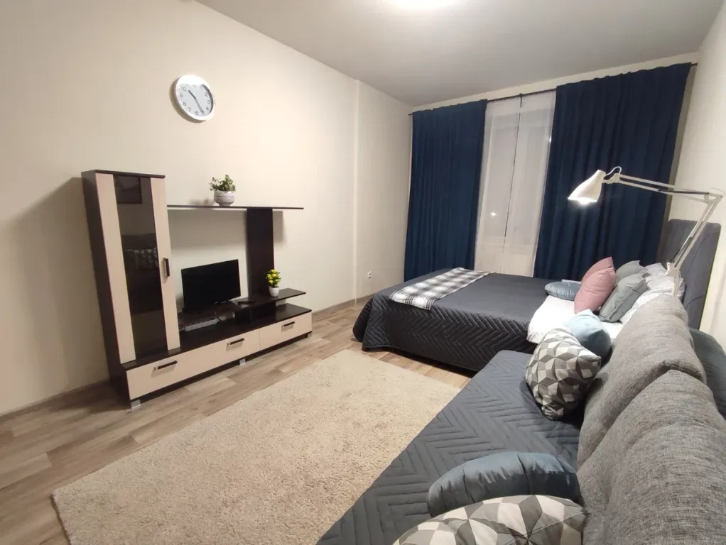 Однокомнатные уютные апартаменты