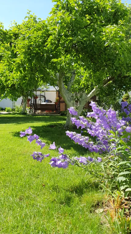 Коттедж FLIGELMUZ (Загородный Музыкальный Флигель). — Северская