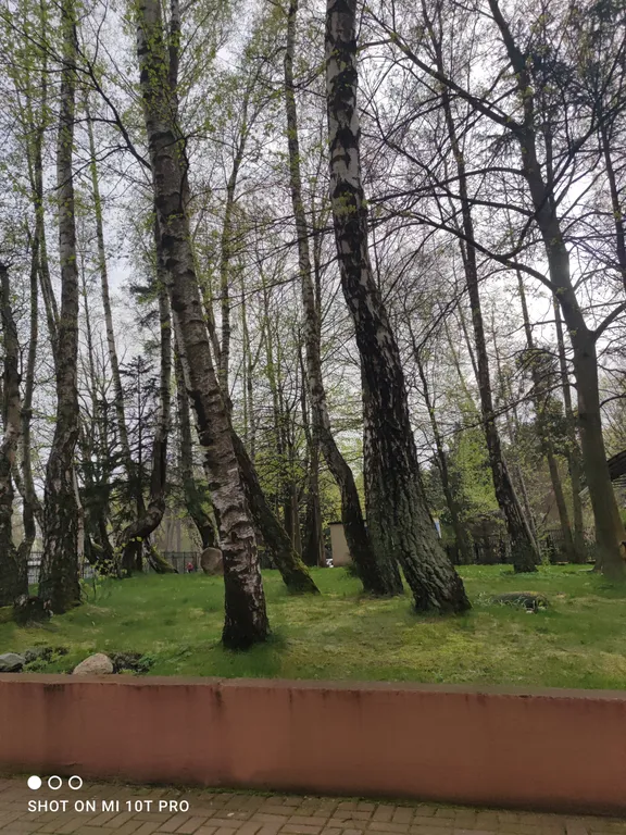 Квартира Квартира Янтарный берег — Светлогорск