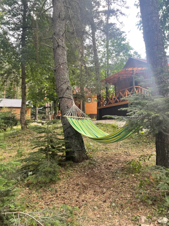 Коттедж Домики в лесу Миллениум — Архыз