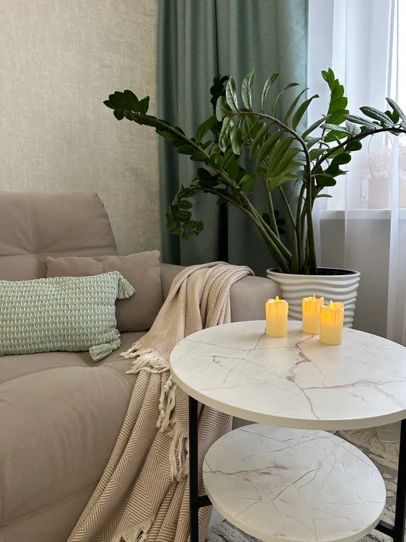 Большая квартира у парка