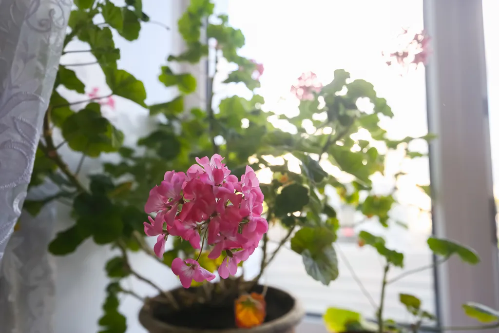 Квартира времён СССР в историческом центре