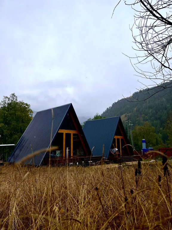 Живописный уголок в лесу вдали от городской суеты