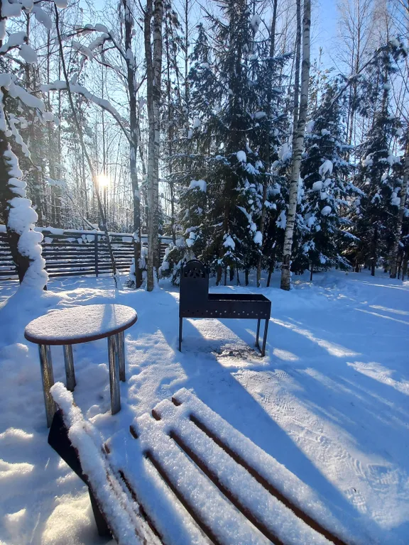 Дом Барин Лес