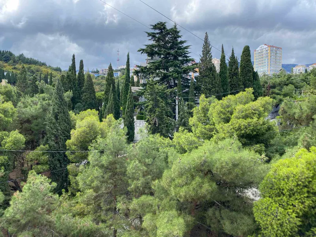 Апартаменты в центре с видом на море