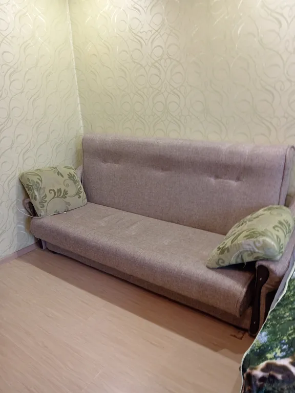 Уютная однокомнатная квартира