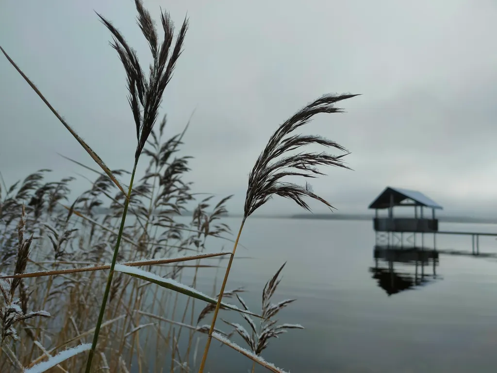 Дом на берегу озера без соседей