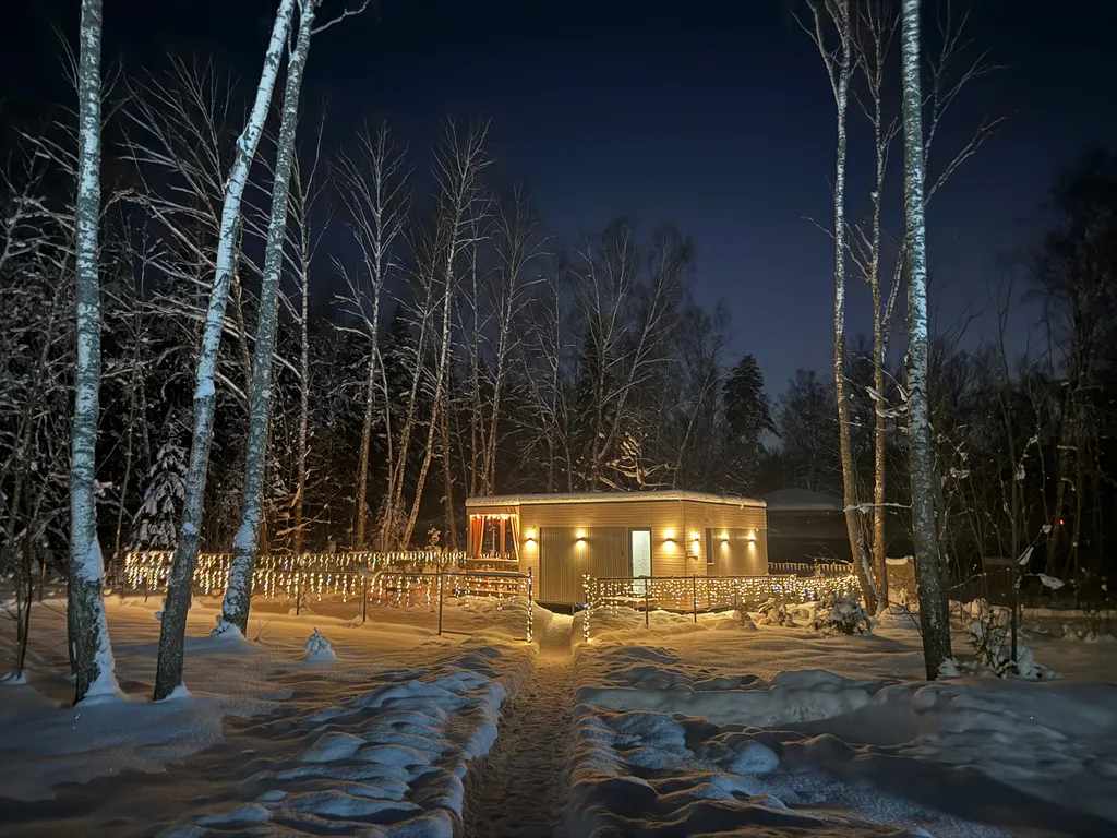 Загородный домик с камином и потрясающим видом на лес