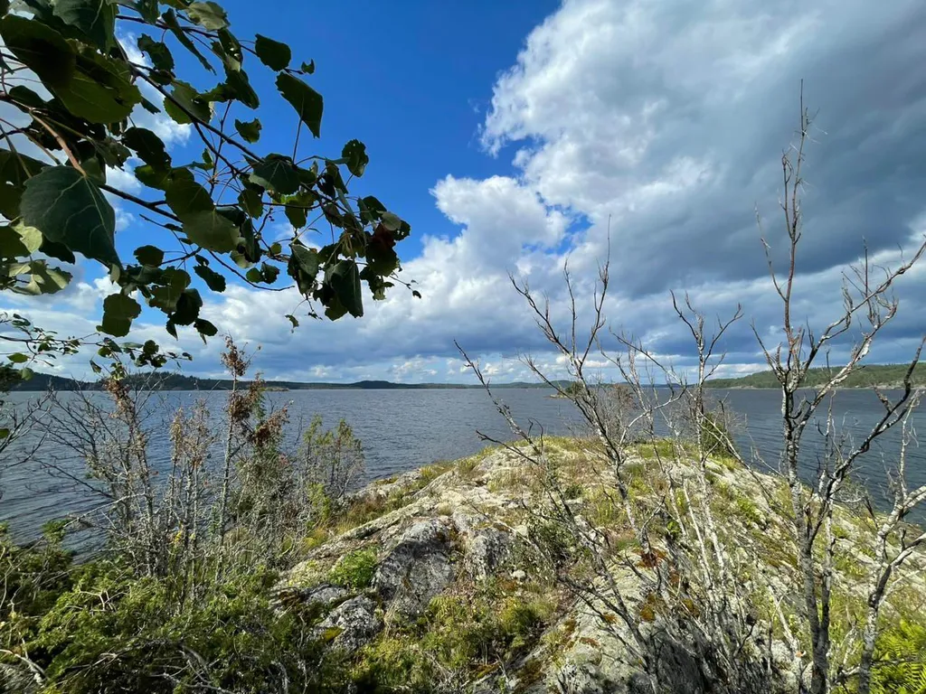 Небольшой дом на острове