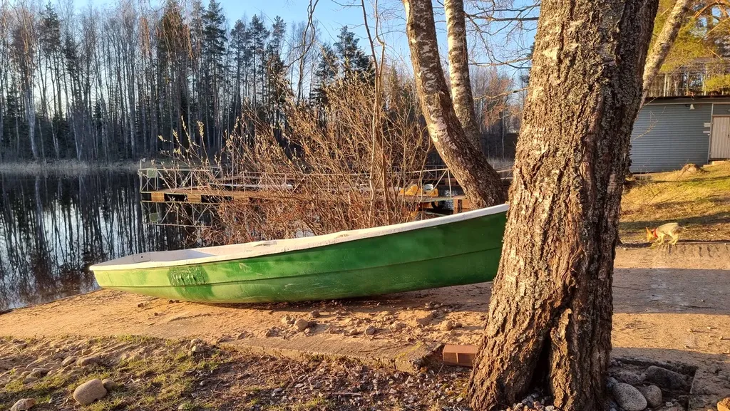 Дом с видом на лес