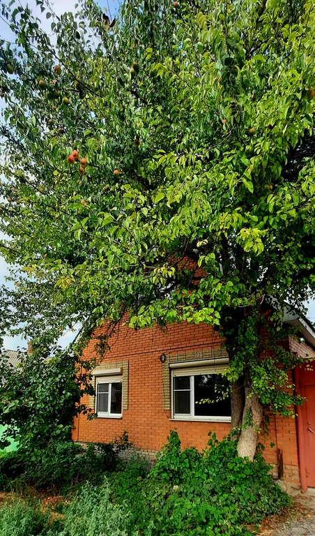 Дом возле моря