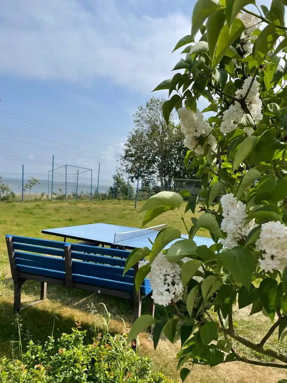 Домик Берег мечты