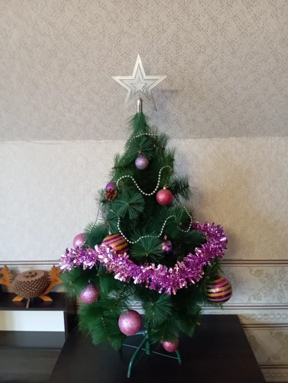 Мансарда на берегу озера Тургояк