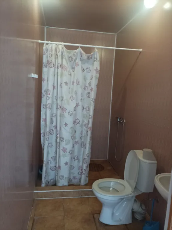 Квартира Комната — Цитрусовый