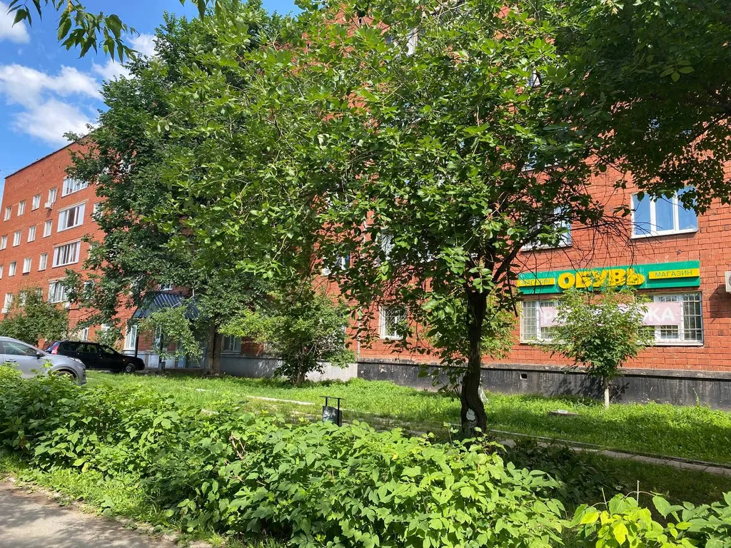 Студия 5 минут от зоопарка