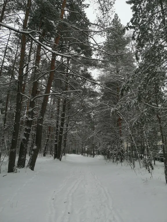 Уютная квартира в лесу рядом с рекой