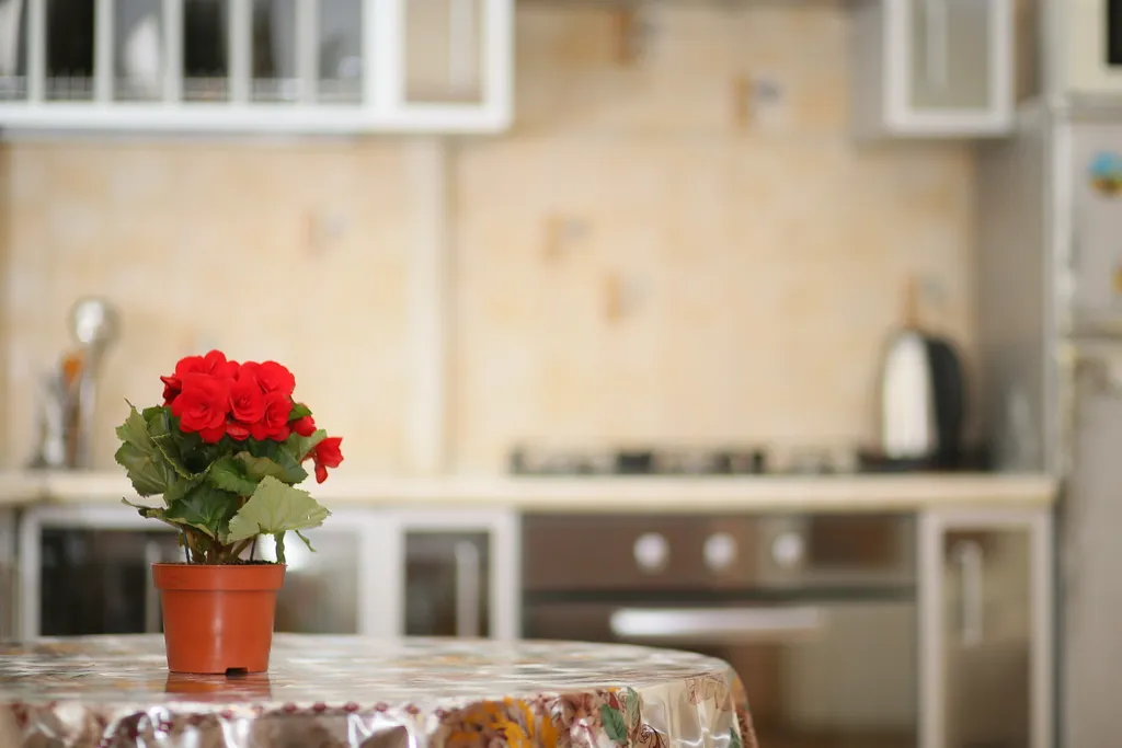 Квартира Квартира на Мира у ОмГТУ — Омск