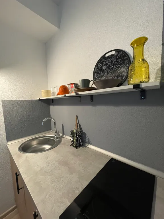 Студия в сосновом бору