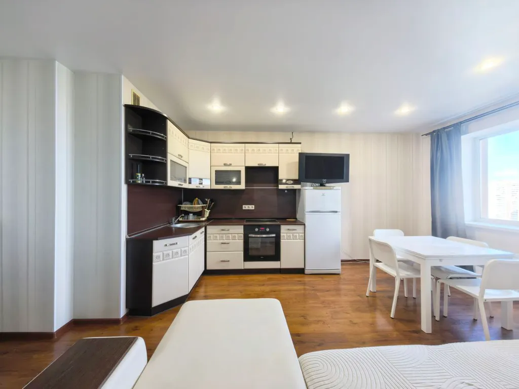 Большая квартира-студия