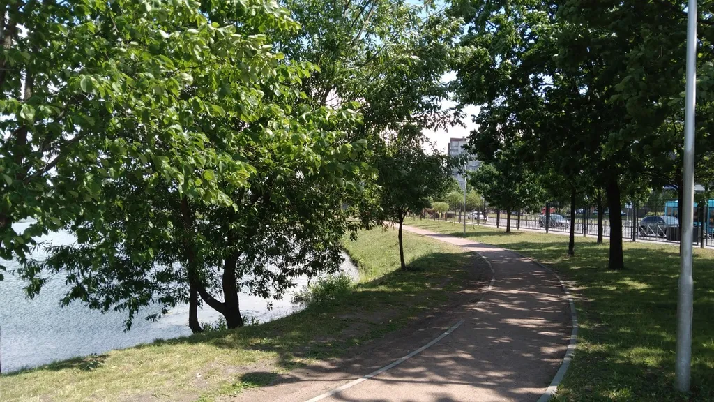 Квартира Уютная комната рядом с двумя метро и КАД — Санкт-Петербург