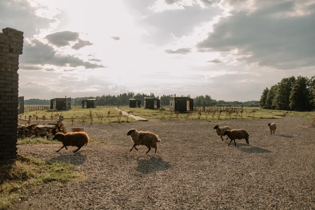 Глэмпинг - Панорамные дома на ферме Nomad Houses
