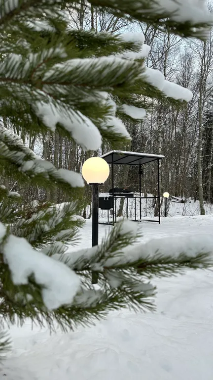 Дом с видом на лес