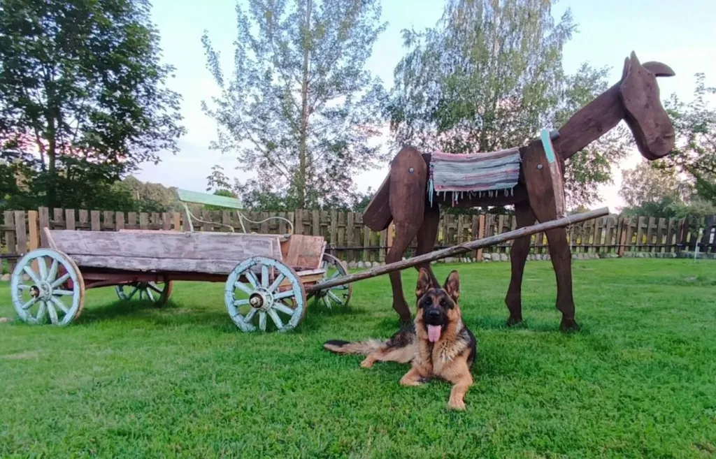 Шале под Минском