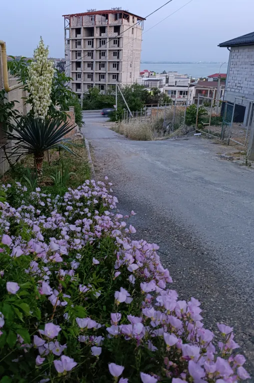 Уютное гнёздышко для двоих.