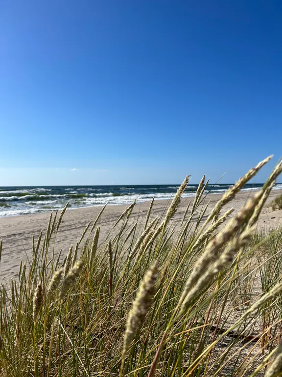 Amorebeach – где рождаются самые красивые закаты