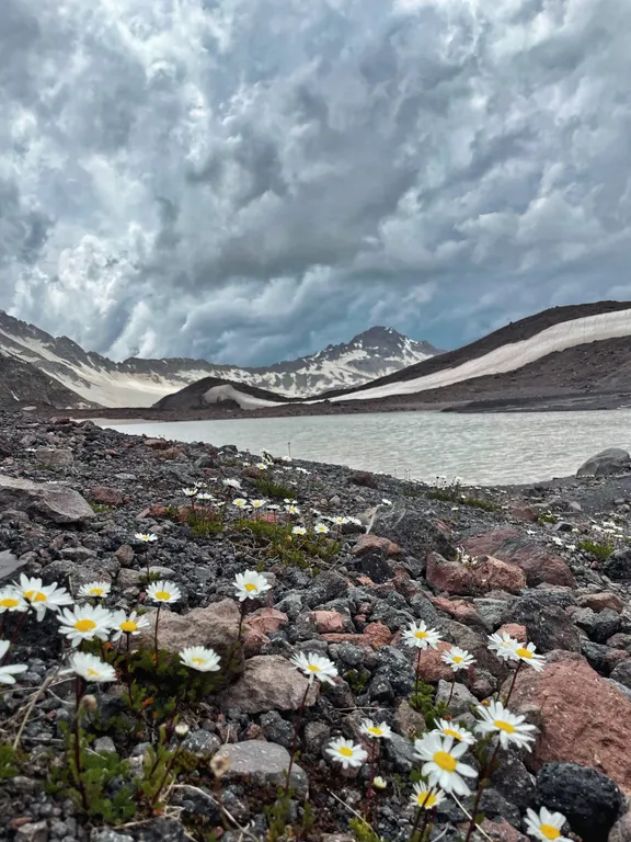 Уютный домик в центре для большой, дружной компании
