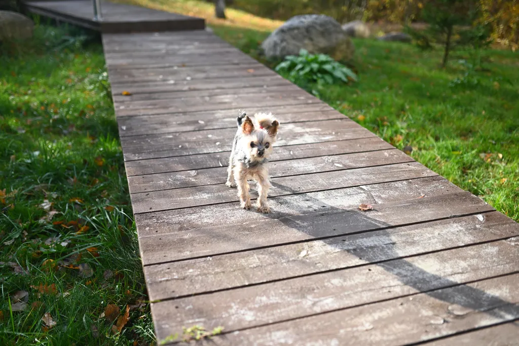 Коттедж Уютный коттедж — Коробицыно