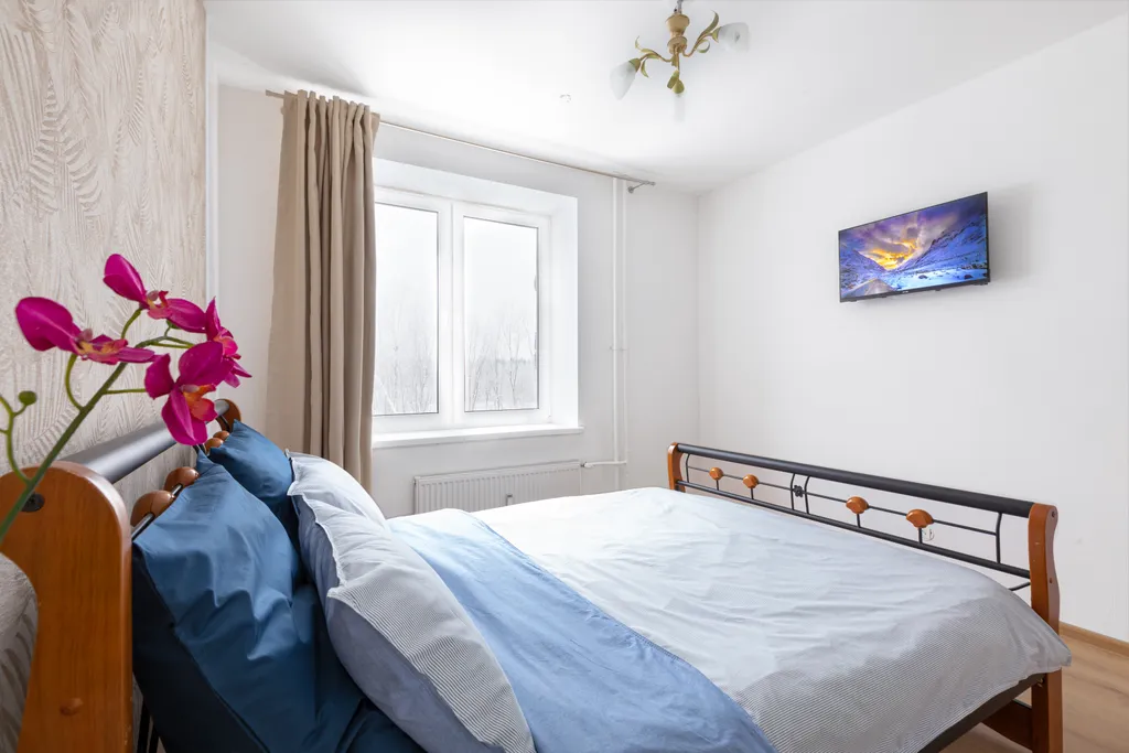 Квартира Однокомнатная квартира в Песочном — Песочный