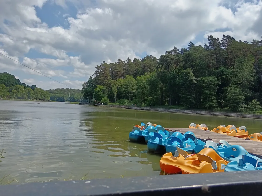 Квартира Уютная квартира — Светлогорск