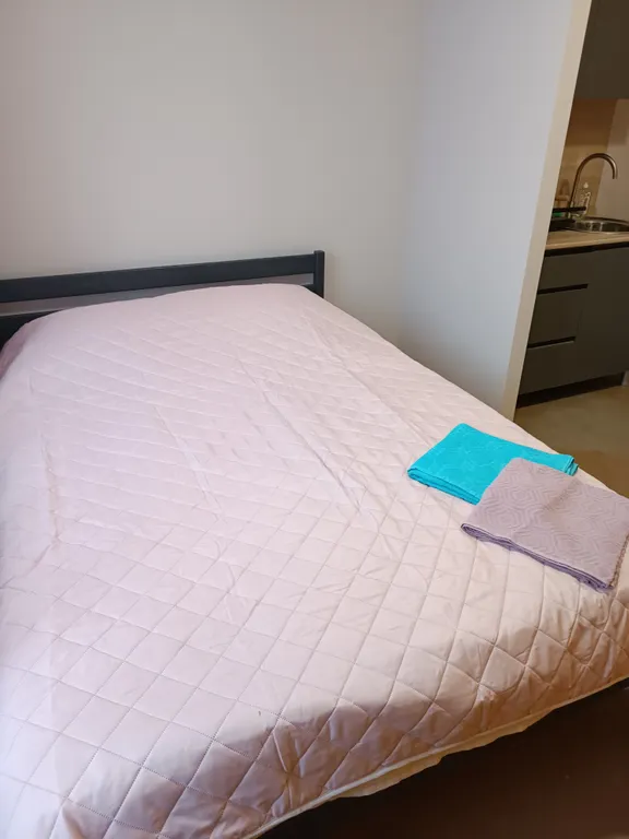 Апартаменты " Как дома" Студия 15 рядом с университетом.