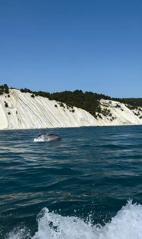 Почувствовать себя как дома во время отпуска — бесценно