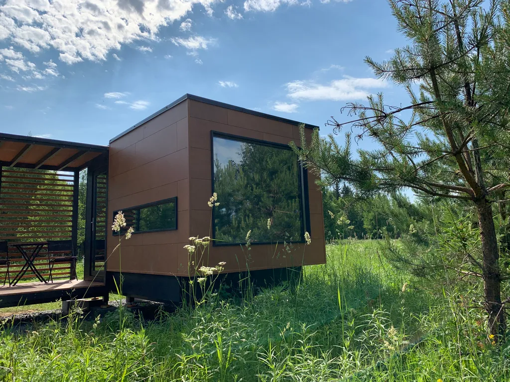 Папоротник